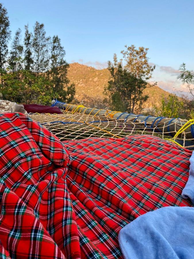Hidden Valley Backpackers Ιρίνγκα Εξωτερικό φωτογραφία